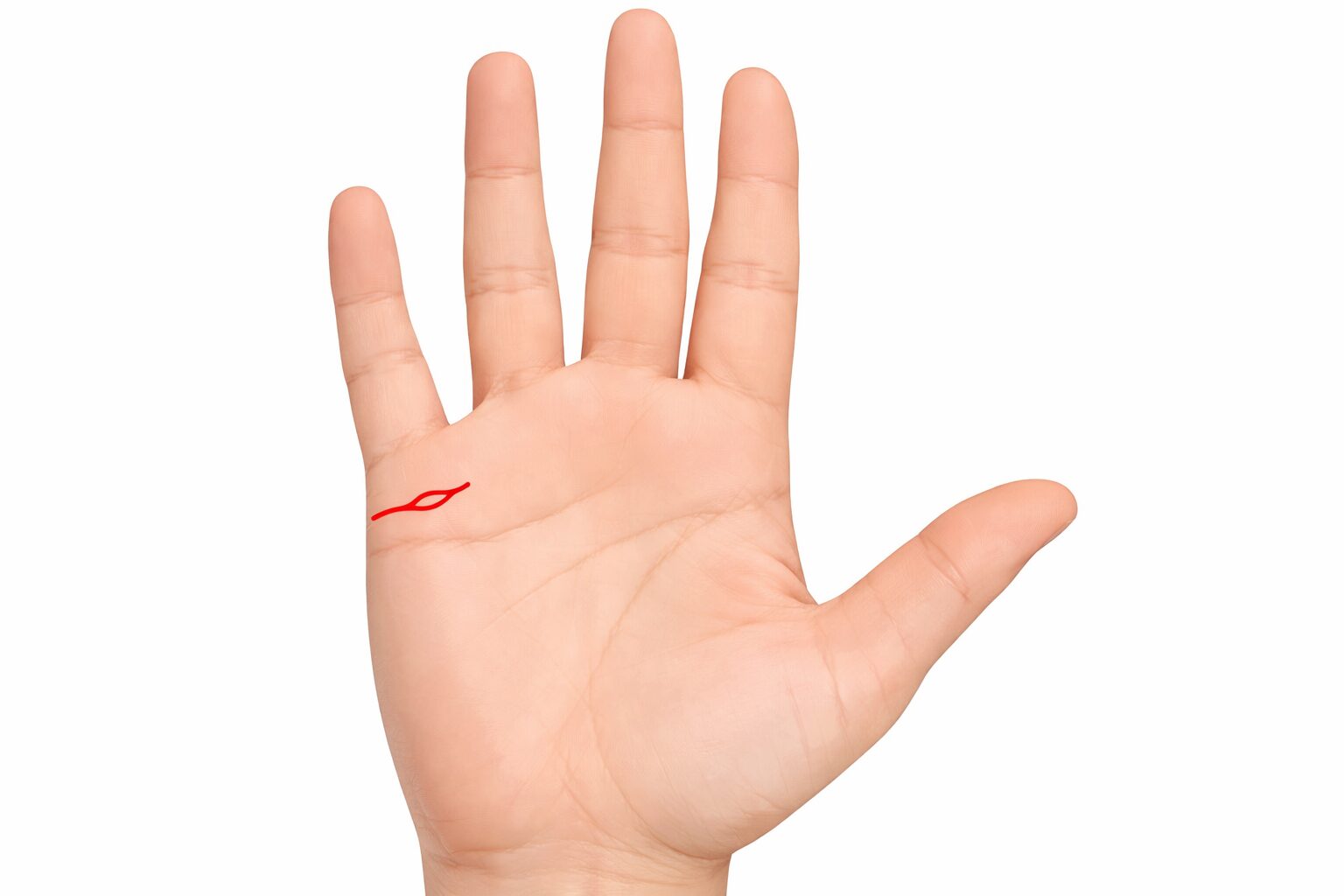 手相の結婚線で50歳以上の運勢を占う